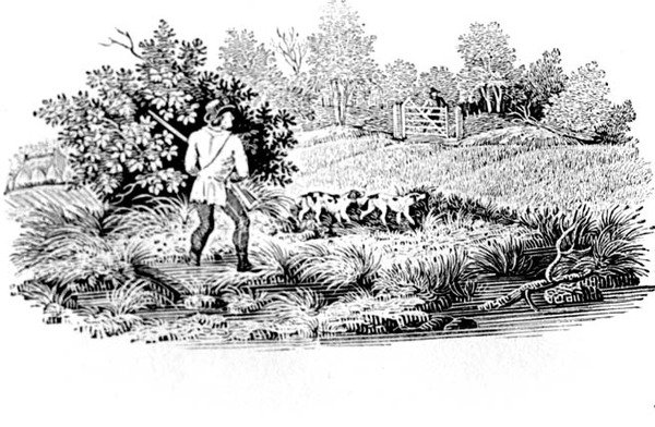 Sportovec se dvěma psy z Land Birds 1797 (dřevoryt) od Thomas Bewick