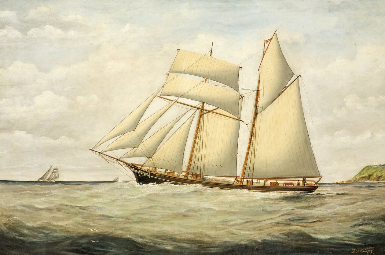 Škuner Saltram, 1890-1900 od Thomas Chidgey