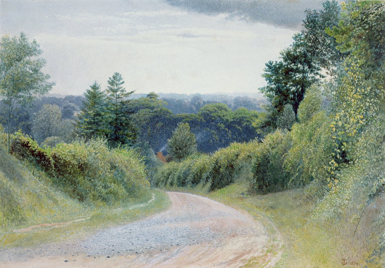Warwickshire Lane od Thomas Clack