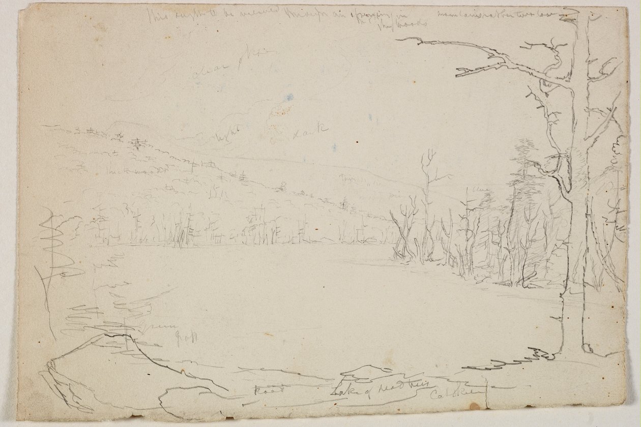 Lake of Dead Trees, Catskill, 1825 (grafitová tužka na špinavě bílém papíře) od Thomas Cole