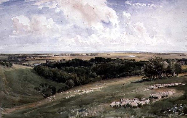 Arundel Park, Sussex od Thomas Collier