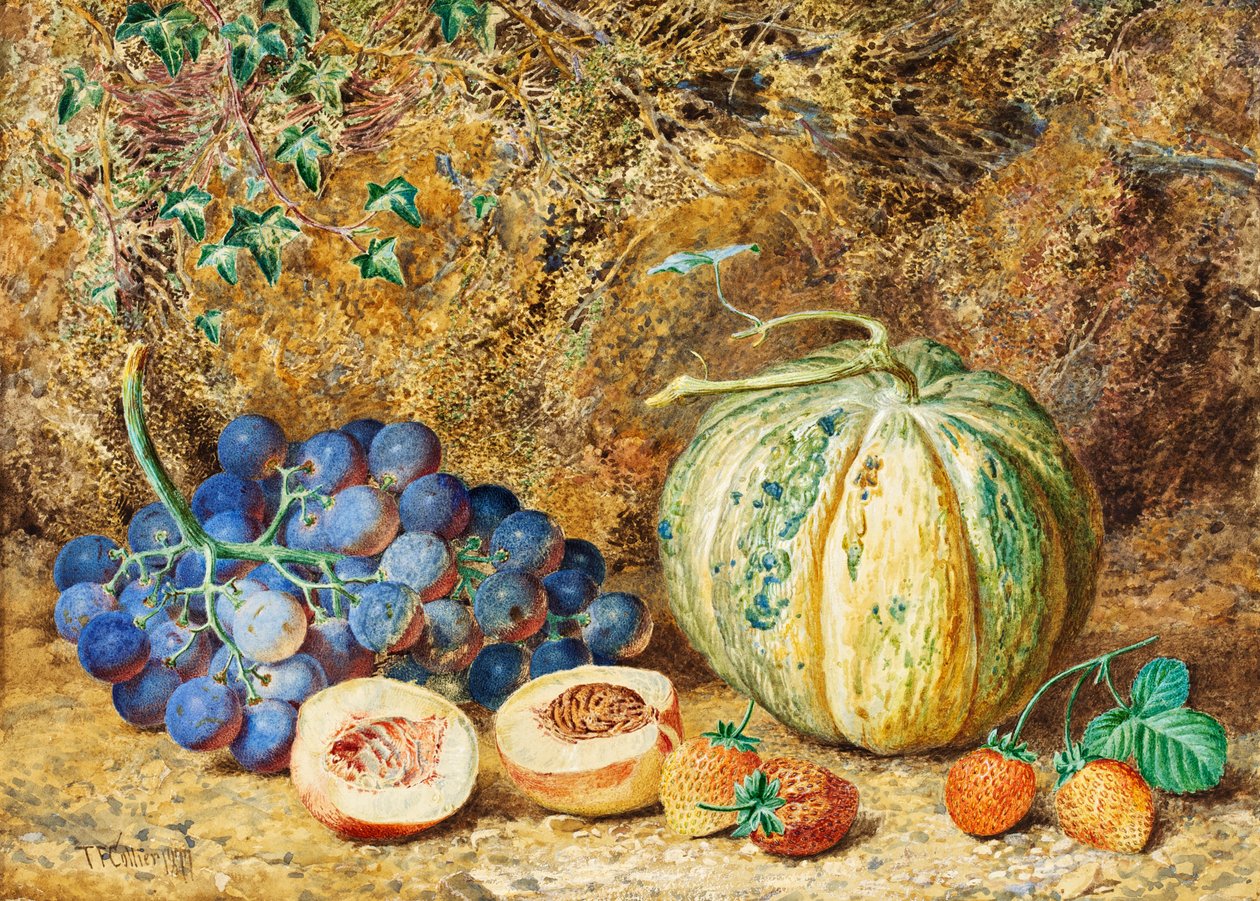 Hrozny a jahody, 1877 od Thomas Collier