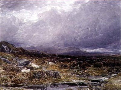 Na Siabod Flats, Severní Wales od Thomas Collier