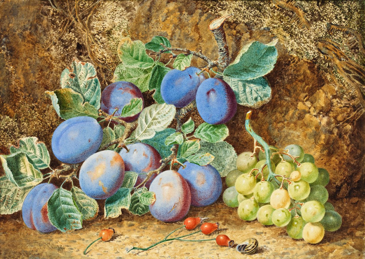 Švestky a hrozny, 1877 od Thomas Collier