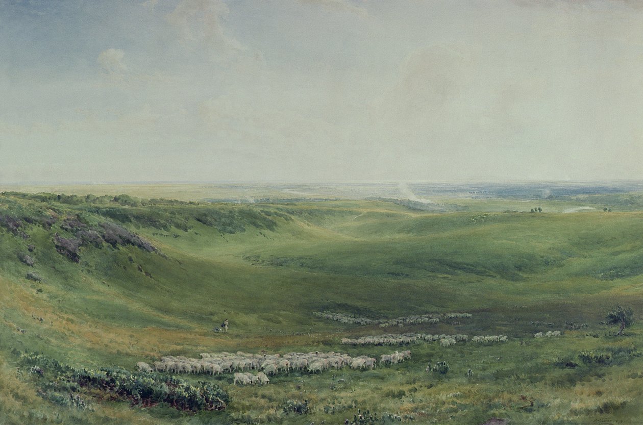 Široké pastviny, Sussex (akvarel) od Thomas Collier