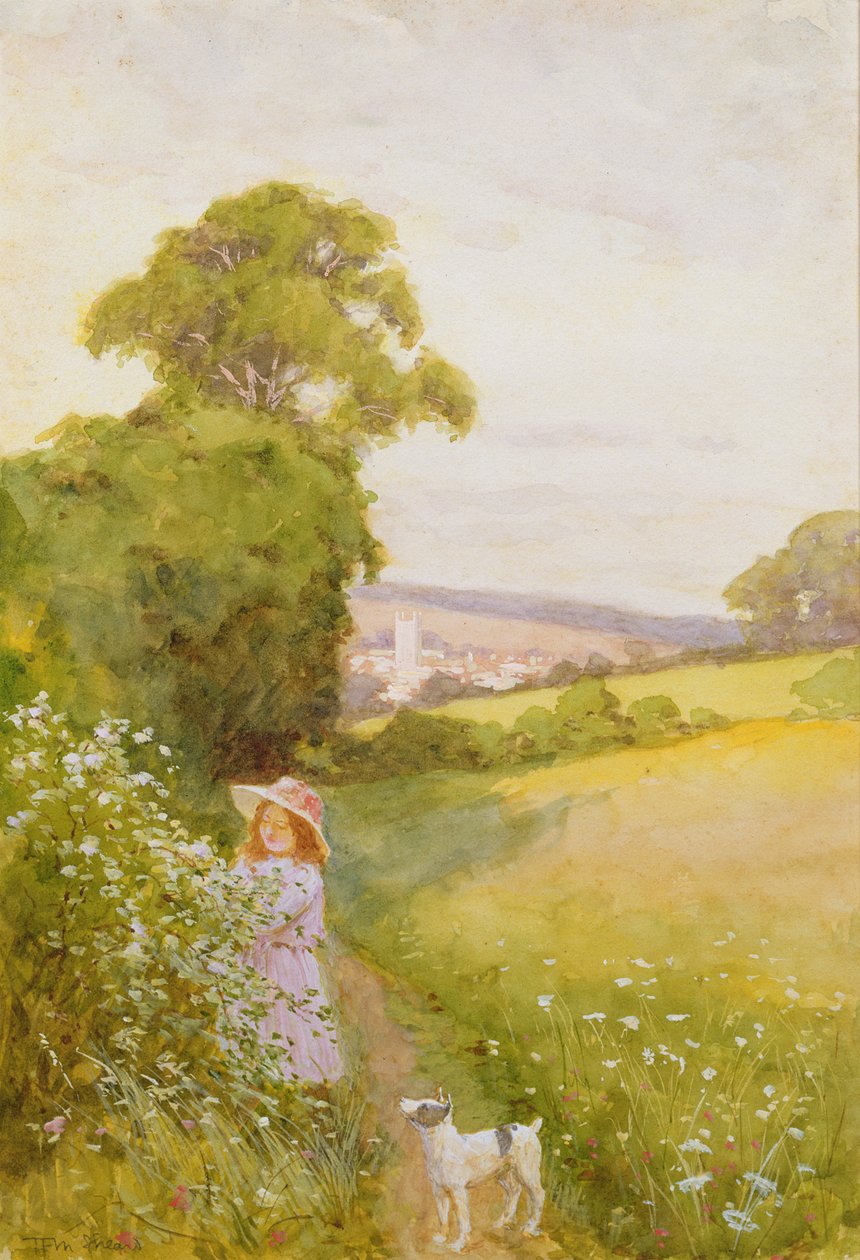Sbírání květin od Thomas Frederick Mason Sheard