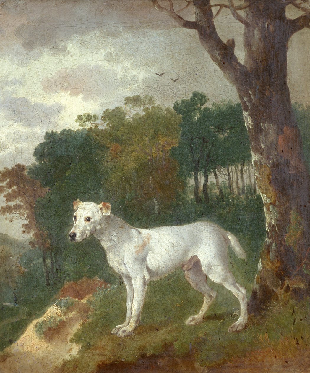 Bumper, bulteriér, 1745 od Thomas Gainsborough