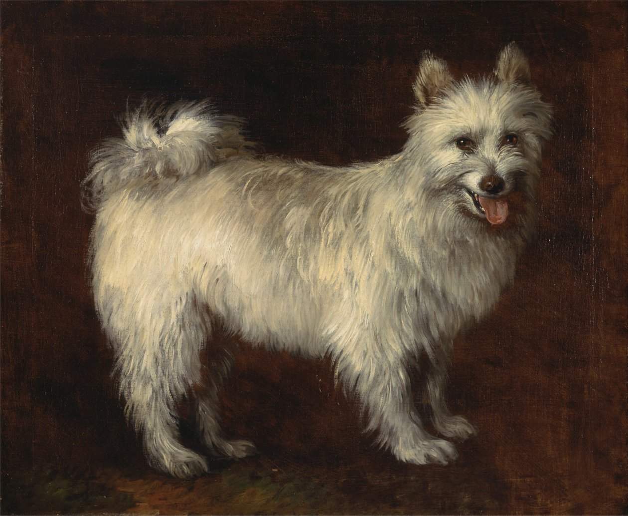 Špic pes od Thomas Gainsborough