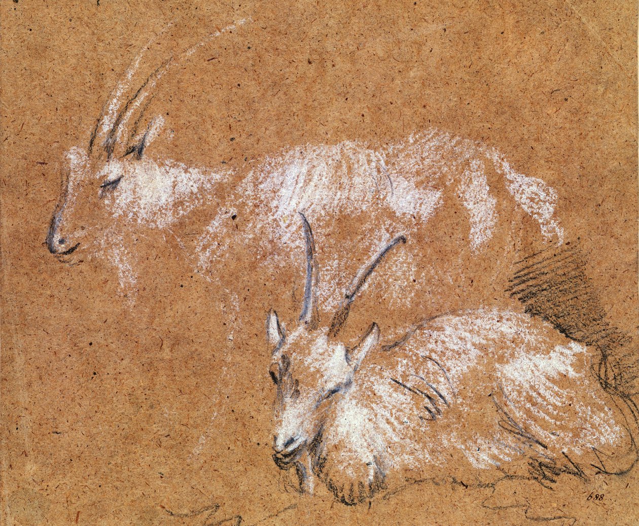 Studium koz (kresba) od Thomas Gainsborough