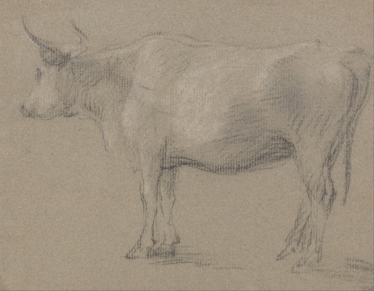 Studie krávy od Thomas Gainsborough