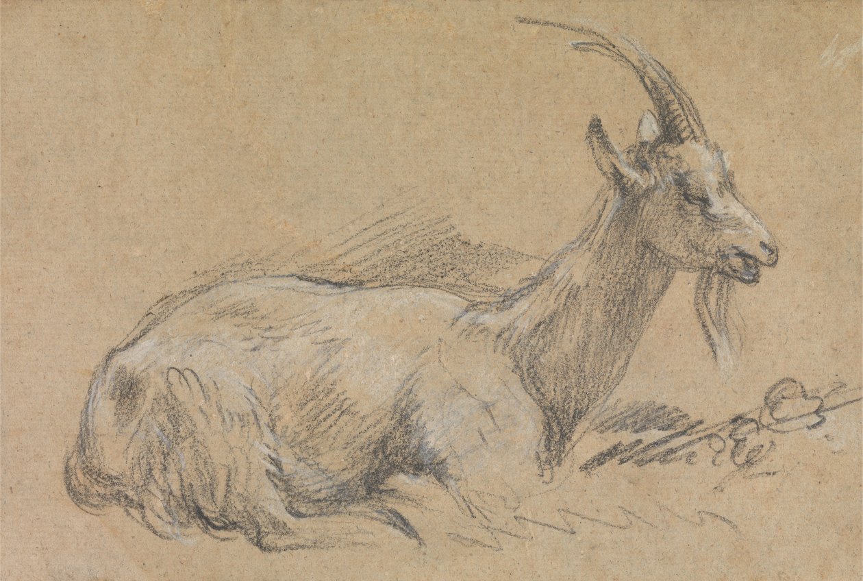 Studium kozy od Thomas Gainsborough