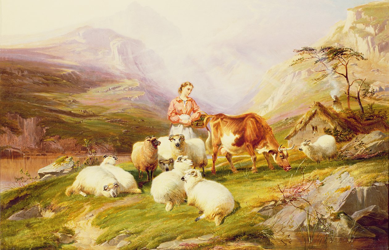 Kráva a ovce na horské pastvině od Thomas George Cooper