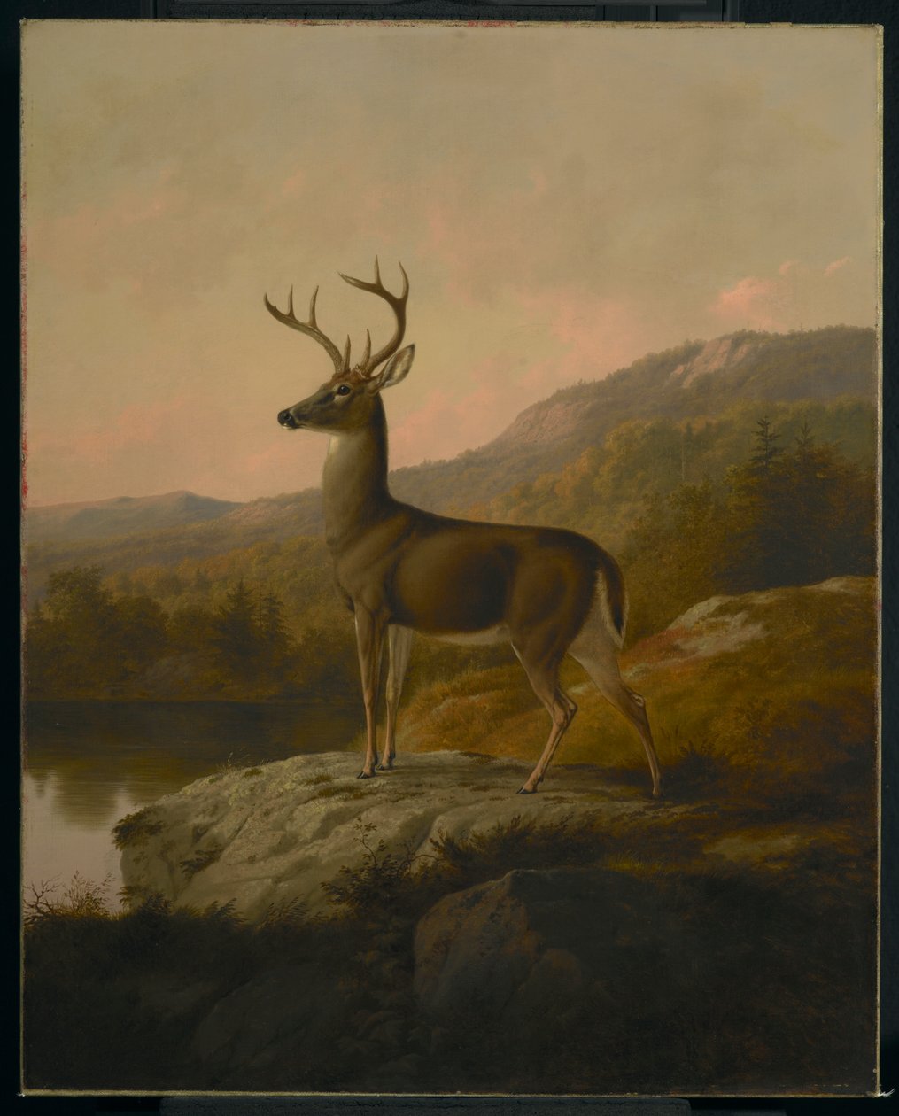Jelen, 1855 od Thomas Hewes Hinckley