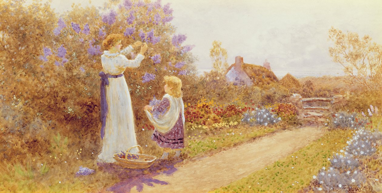 Šeříky, 1899 od Thomas James Lloyd