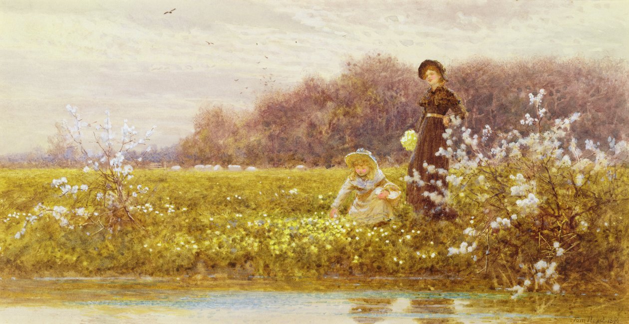 Sbírání petrklíčů, 1896 od Thomas James Lloyd