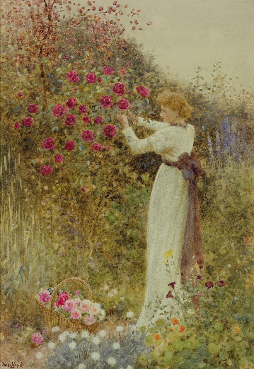 Roses, 1867 (wc s barvou karoserie na papíře) od Thomas James Lloyd