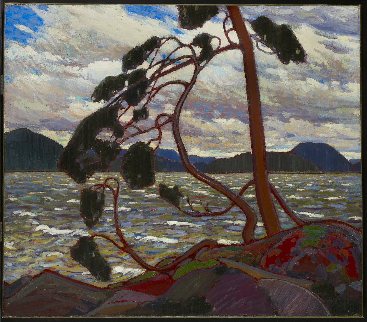 Západní vítr, zima 1916-17 od Tom Thomson