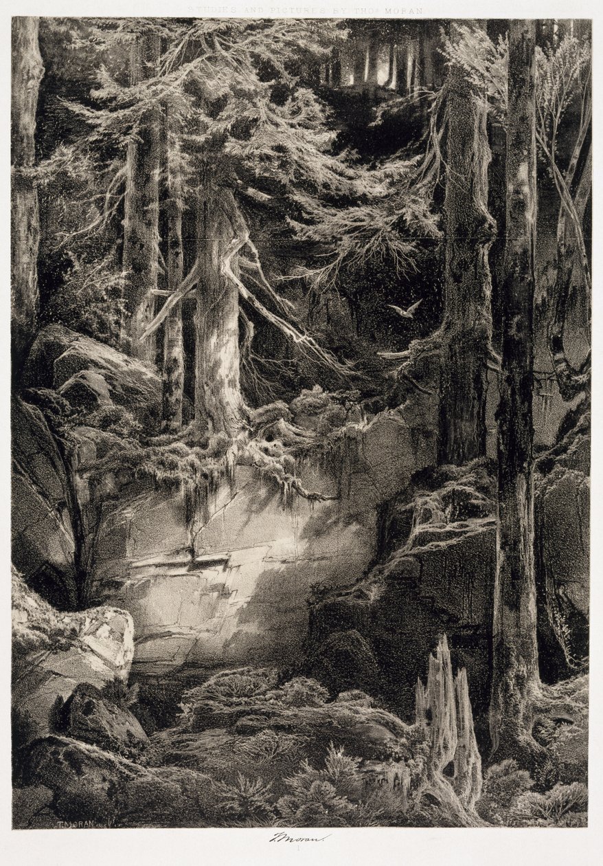 V lese Wissahickon, 1868 od Thomas Moran