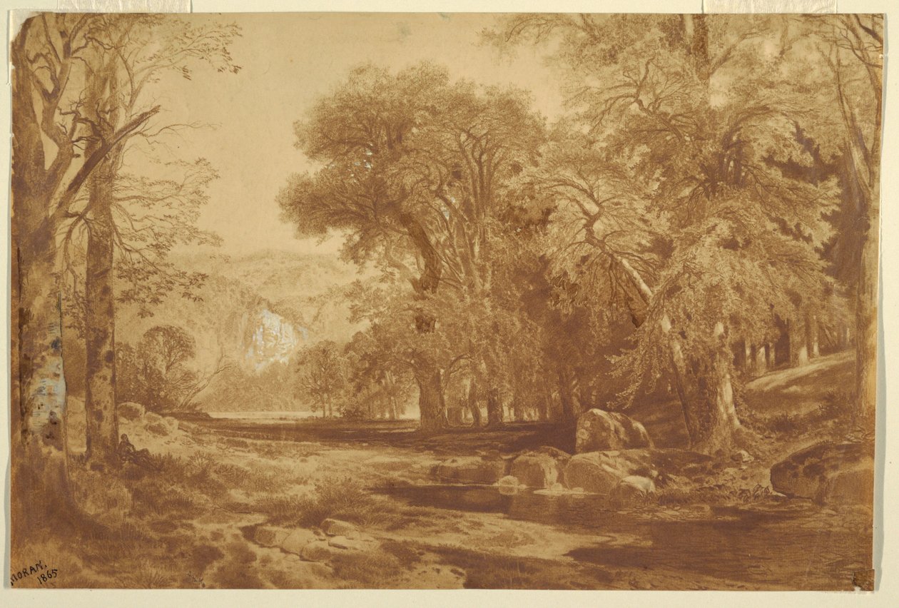 Fotografie, Na horním Delaware od Thomas Moran