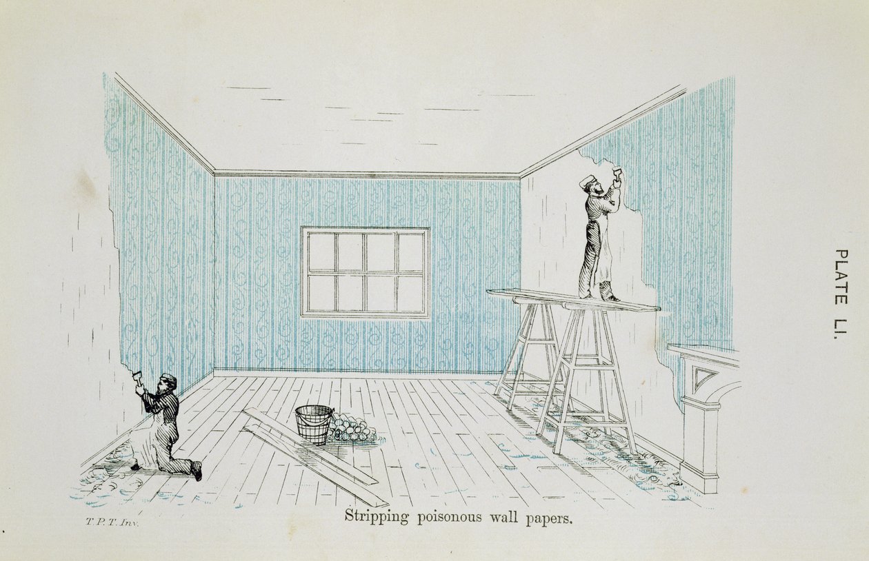 Odstraňování jedovatých tapet, ilustrace z Dangers to Health: A Pictorial Guide to Domestic Sanitary Effects, vydáno 1897 od Thomas Pridgin Teale