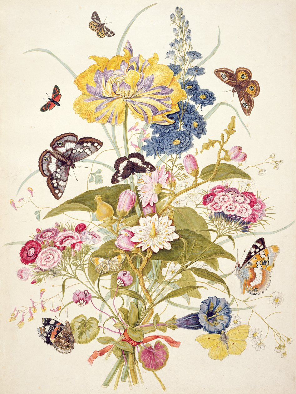 PD.912-1973 Květinové zátiší s papouščím tulipánem, modřenci, sladkým vilínem, hořcem a cyklámenem, 1769 od Thomas Robins