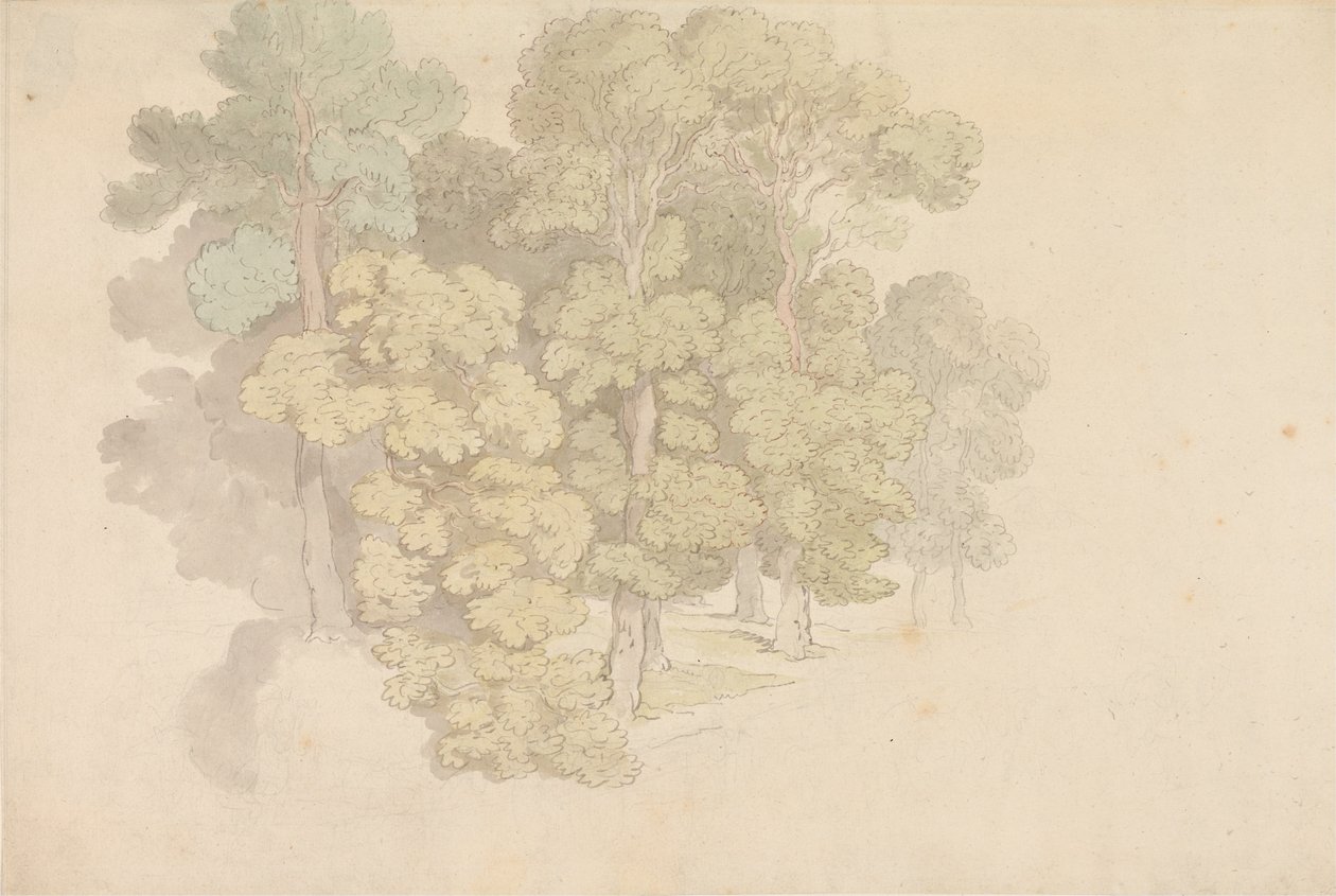 Skupina stromů od Thomas Rowlandson