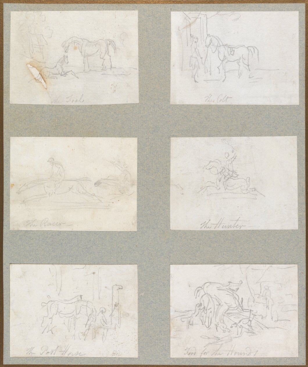 Věky koně- hříbě, hříbě, závodník, lovec, post-kůň, jídlo pro psy od Thomas Rowlandson