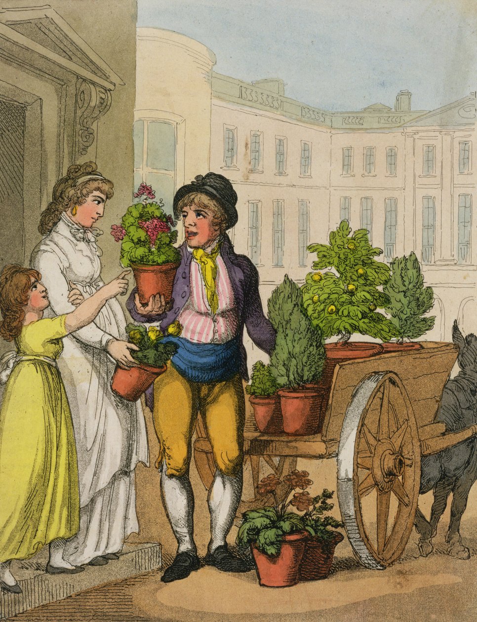 Cries of London: The Garden Pot Seller, 1799 (barevná akvatinta) od Thomas Rowlandson