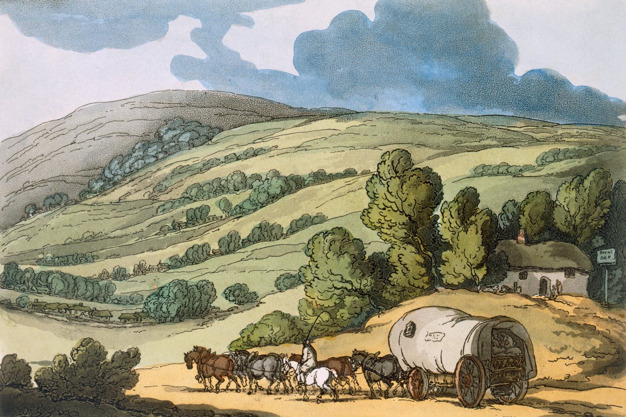 Taunton Vale, Somersetshire, z „Sketches from Nature“, vydané 1822 (barevný lept) od Thomas Rowlandson