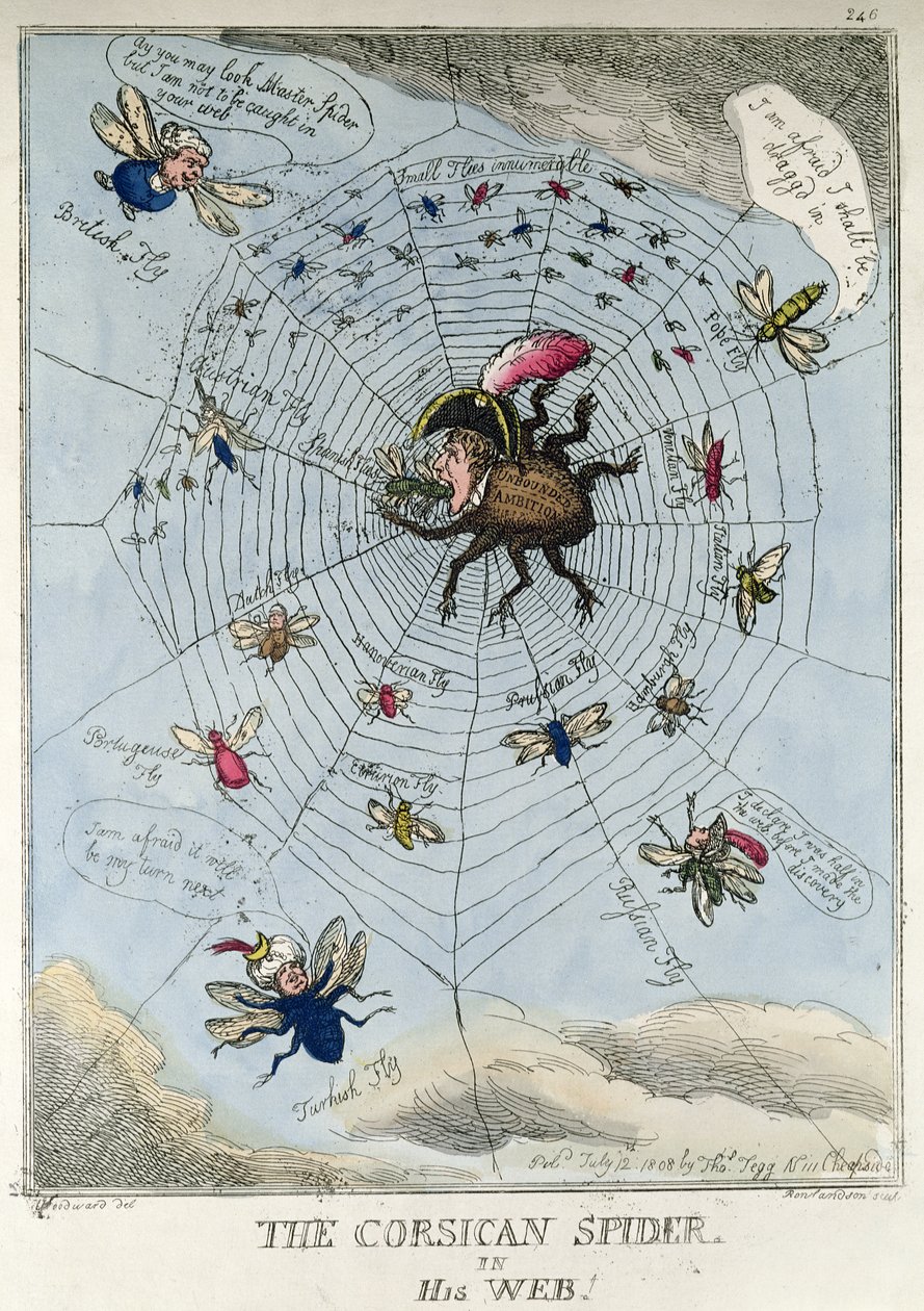 Korsický pavouk ve své síti od Thomas Rowlandson
