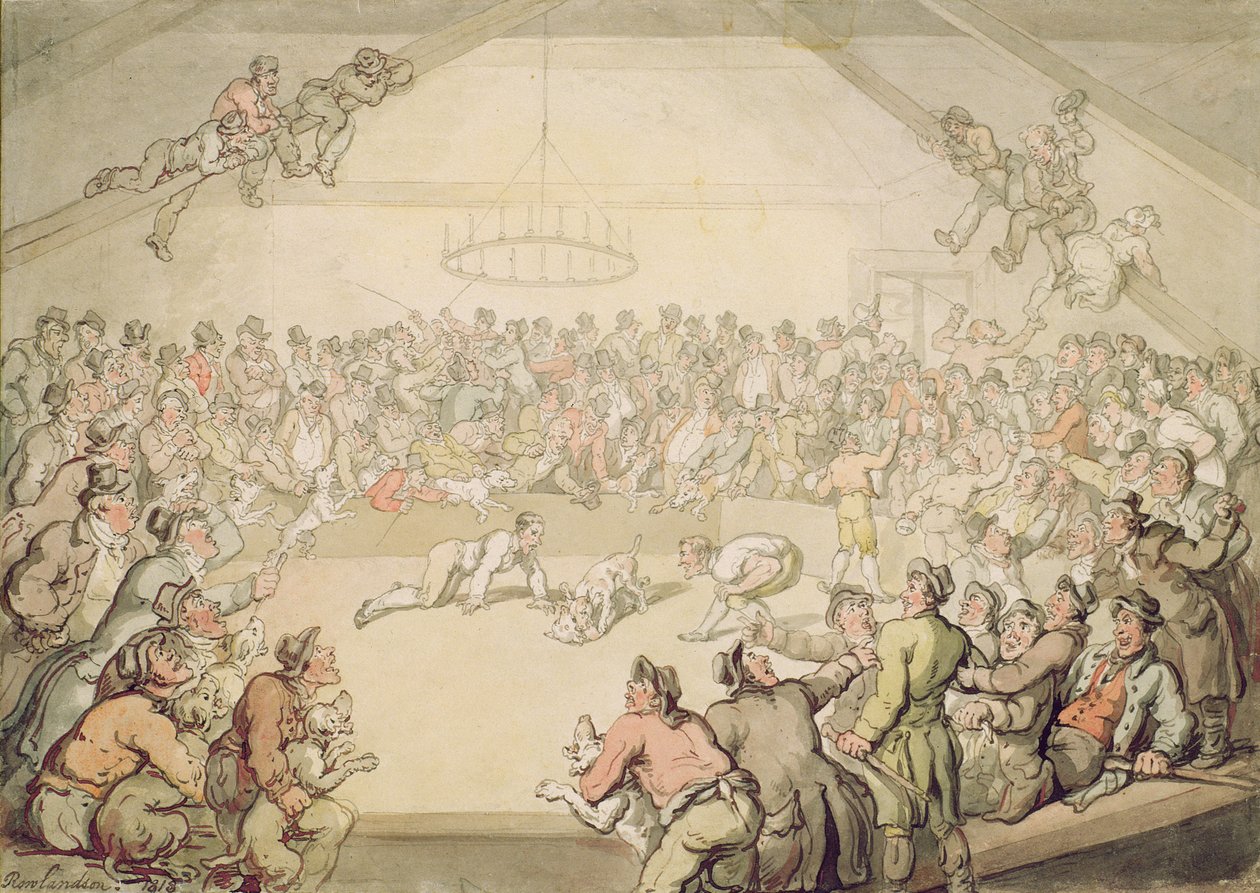 Psí zápas od Thomas Rowlandson