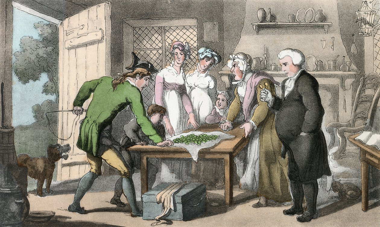 The Gross of Green Spectacles, ilustrace z knihy Olivera Goldsmithe "The Vicar of Wakefield", vyd. Ackermann, 1817 (ručně kolorovaná akvatinta) od Thomas Rowlandson