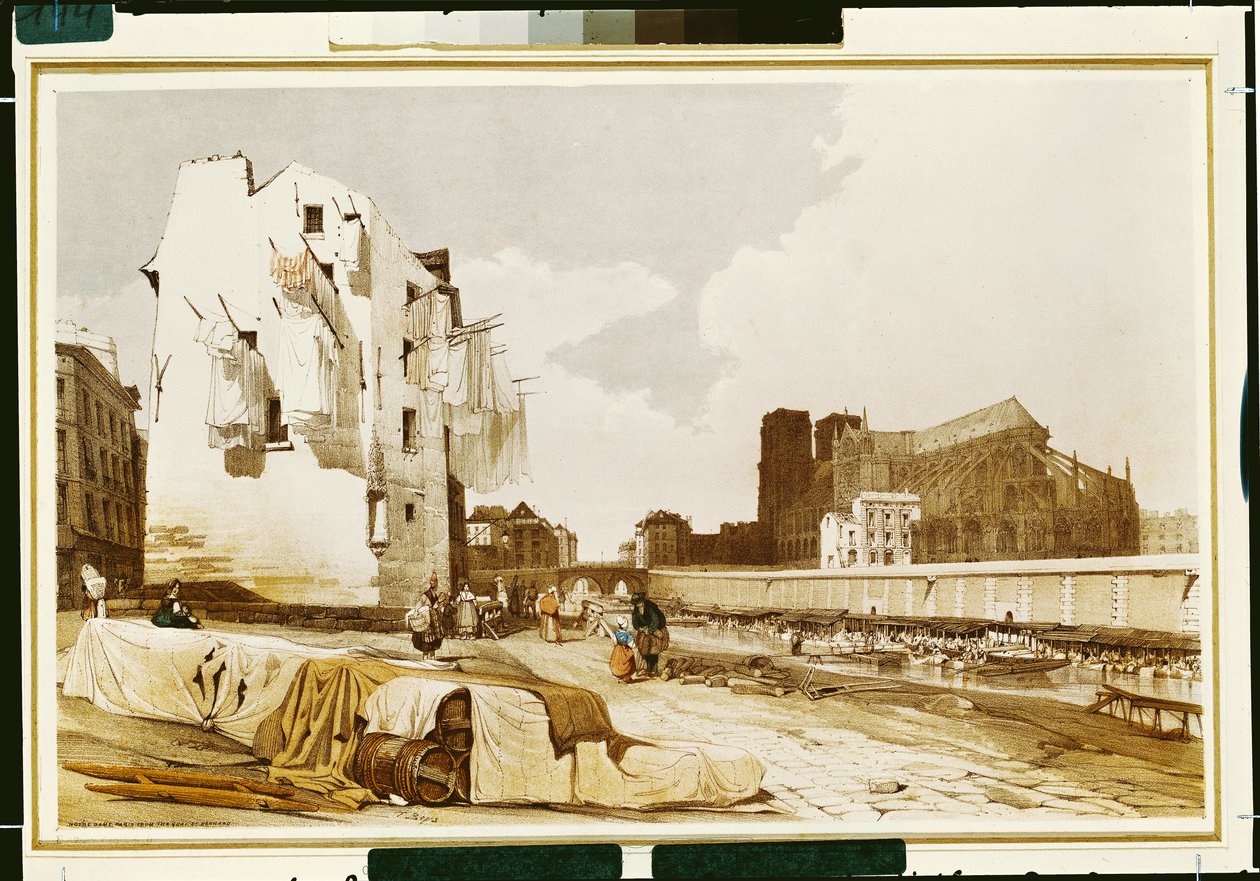 Notre Dame z Quai St. Bernard od Thomas Shotter Boys