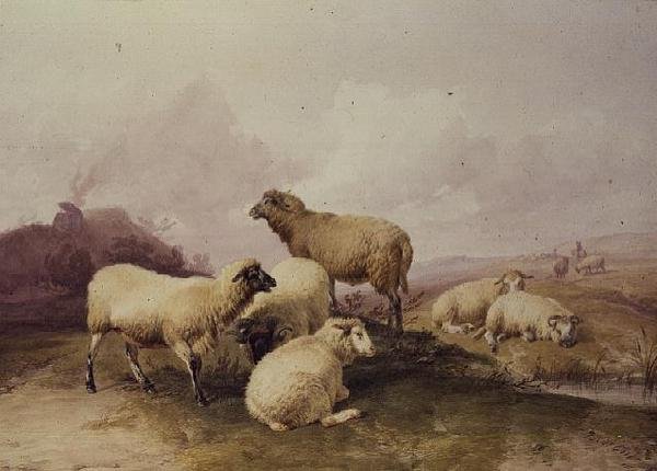 Ovce v krajině, 1844 od Thomas Sidney Cooper