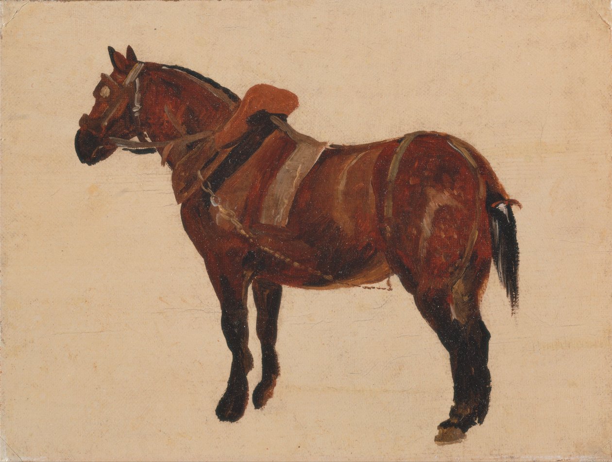 Studie pracujícího koně od Thomas Sidney Cooper