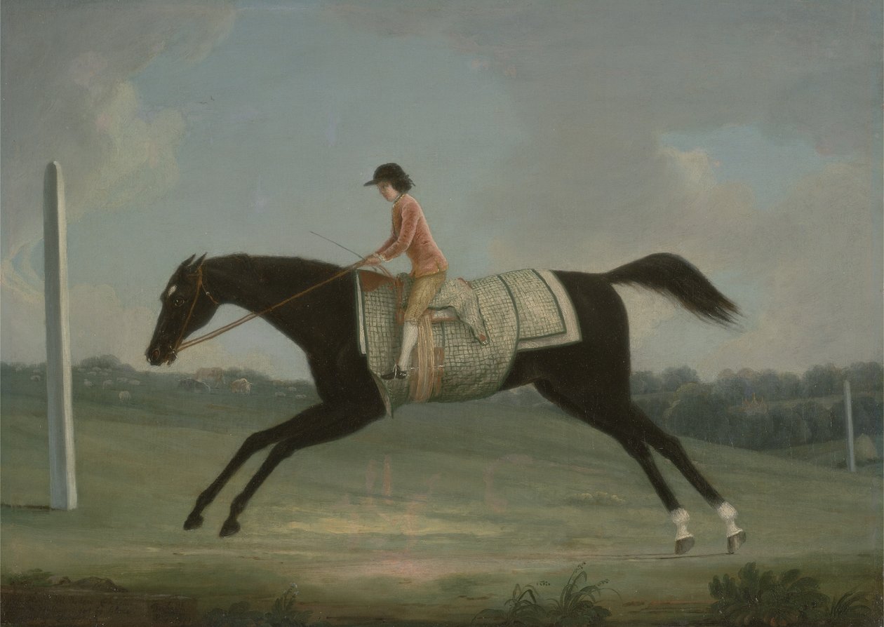 Borlase Cokayne jako chlapec na koni na Sultaně, 1751 od Thomas Smith of Derby
