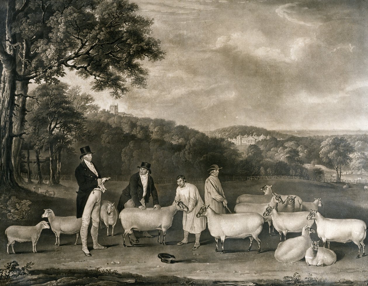 Portrét Thomase Williama Cokea, Esq. (1752-1842) při kontrole některých svých ovcí South Down s panem Waltonem a holkhamskými pastýři, vyryl William Ward (1766-1826), 1808 od Thomas Weaver