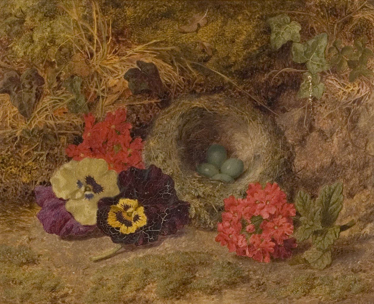 Ptačí hnízdo, Macešky a Verbena, konec 19. století od Thomas Worsey
