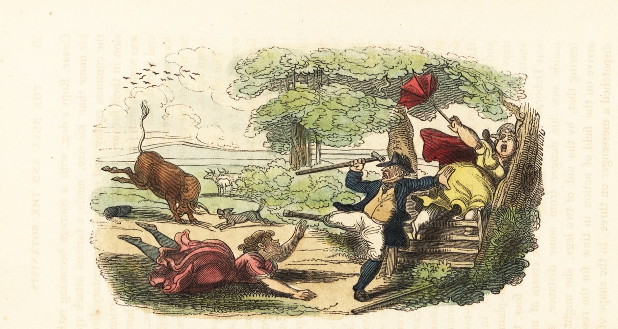 Rodina botaniků napadena útočícím býkem na poli. ,1831 (rytina) od Thomas (after) Rowlandson