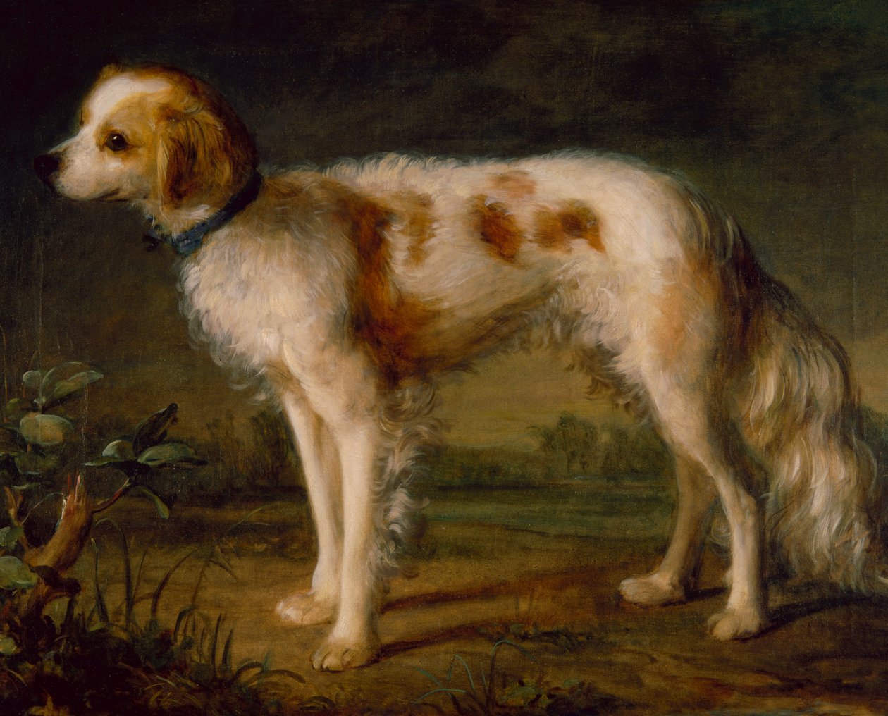 Španěl v krajině (olej) od Thomas (circle of) Gainsborough