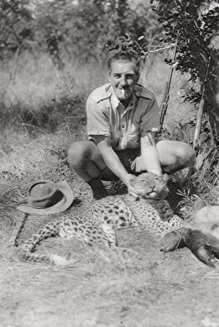 Chaplin Court Treatts leopard, Abercorn do Tukuyu, Tanganika, 1925 1927 od Thomas A. Glover