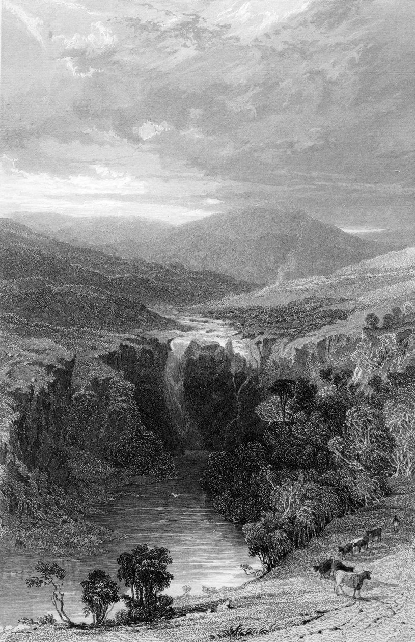 High Force by the Tees, Durham, c.1835 od Thomas Allom