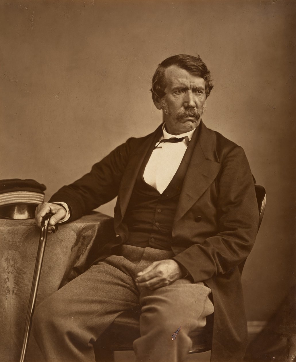 David Livingstone by Thomas Annan - Původní text od Thomas Annan