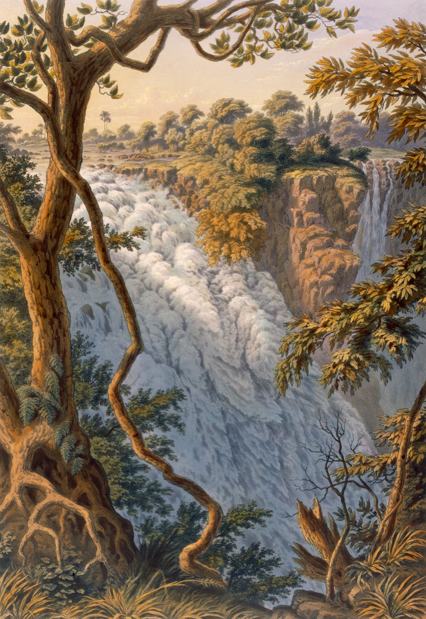 Victoria Falls: The Leaping Water, hospoda. 1864. od Thomas Baines