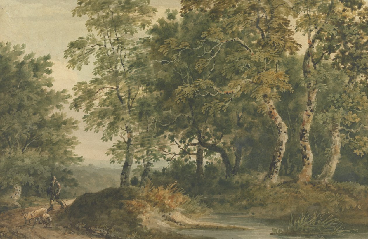 Krajina s mužem, který řídí ovce od Thomas Barker
