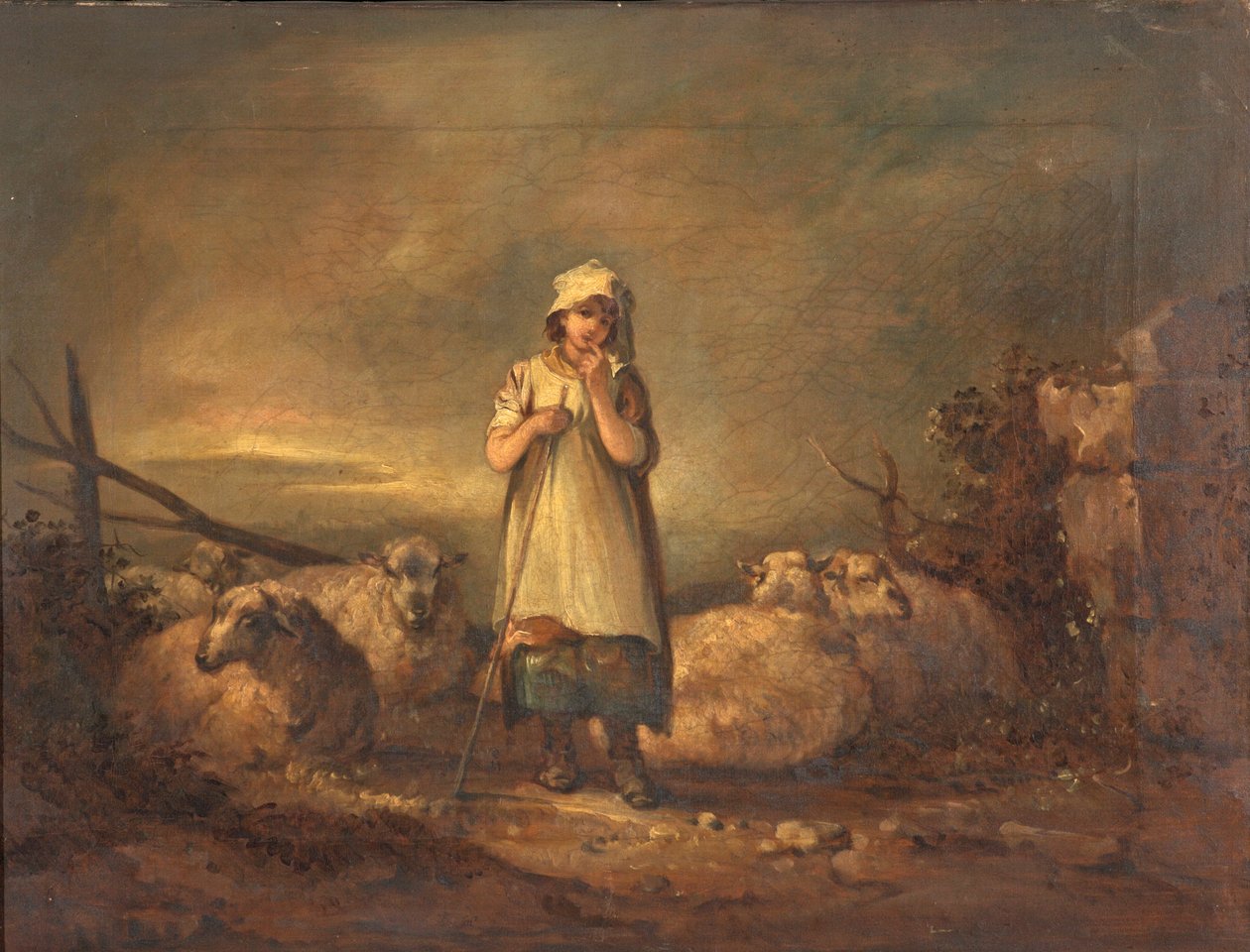 Gloucestershire Dívka chová ovce od Thomas Barker of Bath