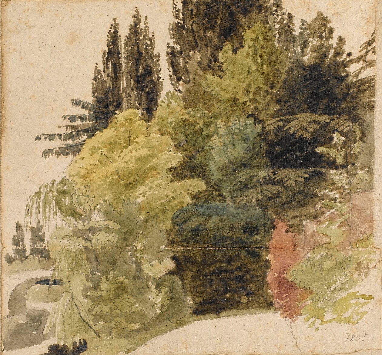 Studie stromů v areálu Merton Place od Thomas Baxter