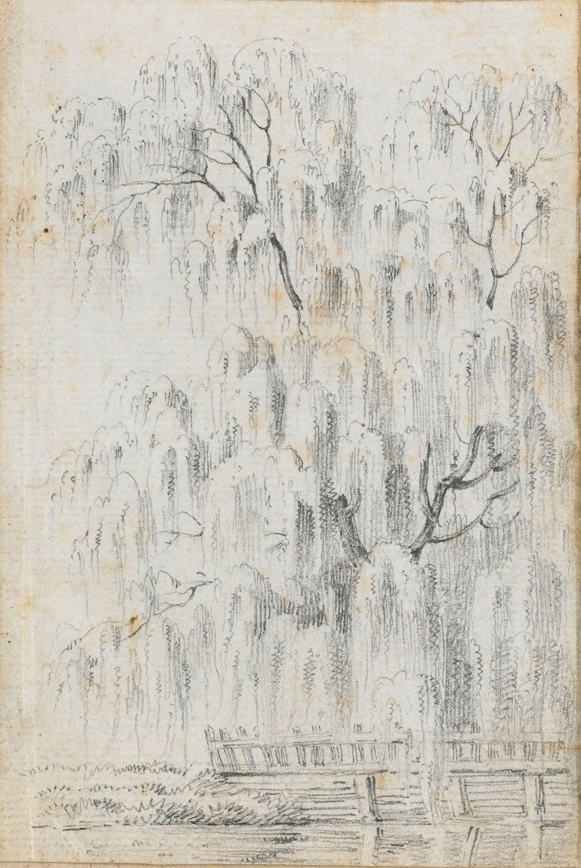 Studie stromu převislého nad vodou v Mertonu (recto) od Thomas Baxter