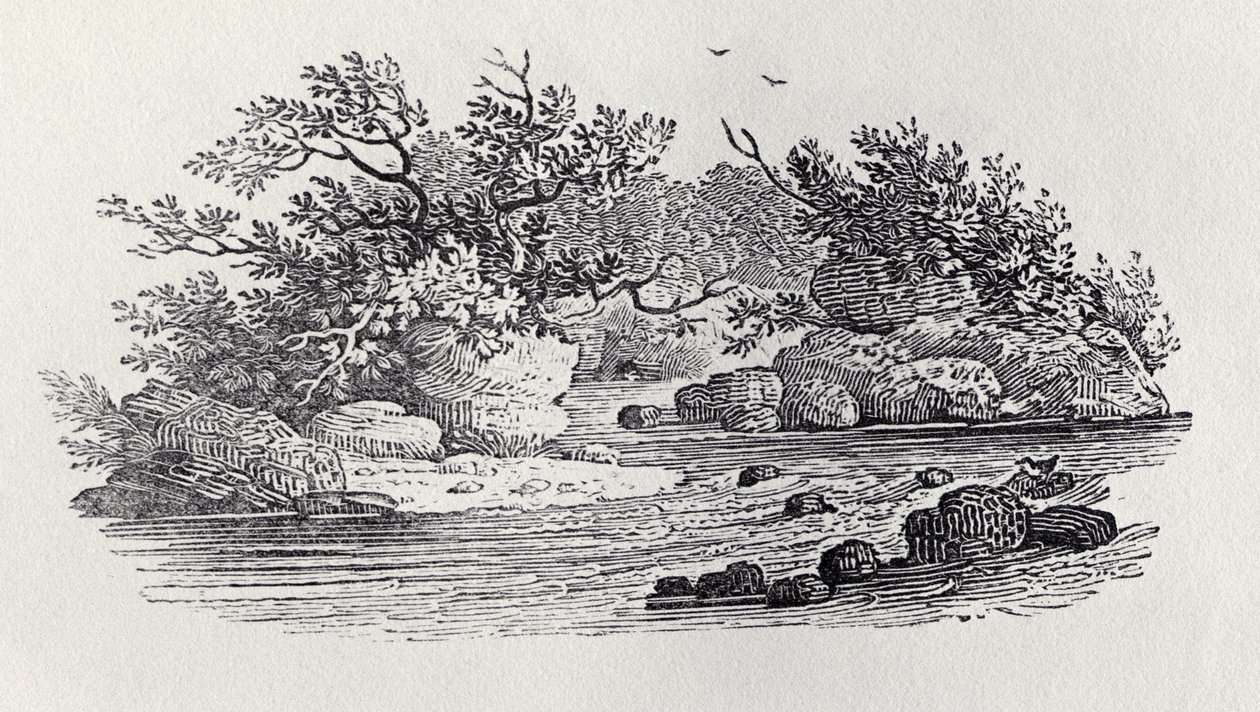A Bend in the River z „History of British Birds, Volume 2: Water Birds“, 1804 od Thomas Bewick