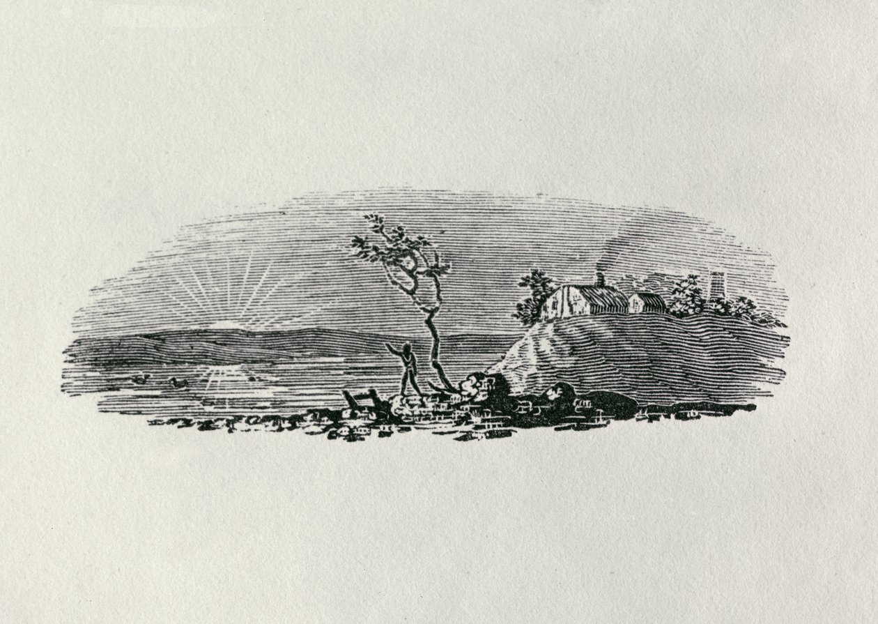 Zimní západ slunce z „History of British Birds and Quadrupeds“ (č. rytina) od Thomas Bewick